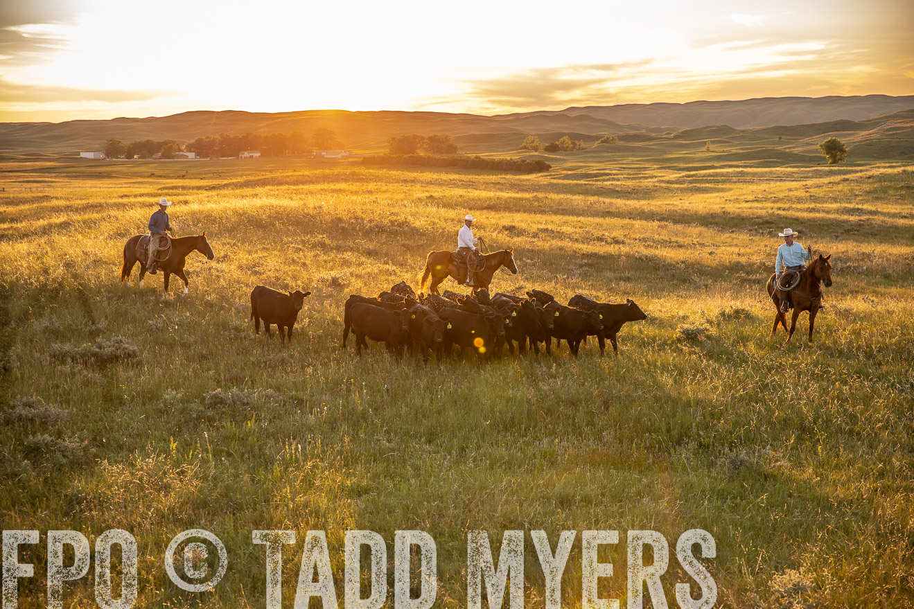 PP_TuckerRanch_NE_July2019-42497