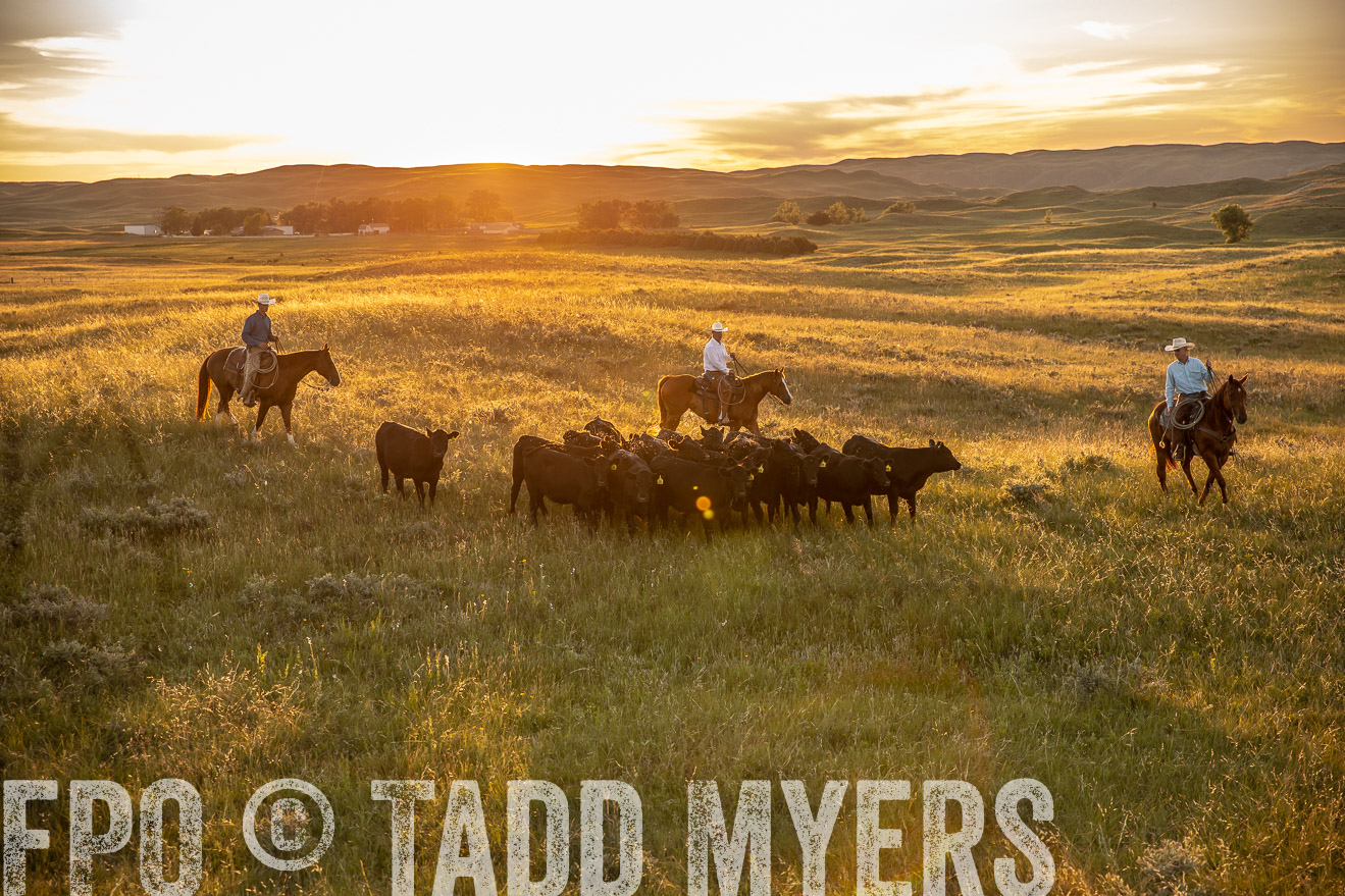 PP_TuckerRanch_NE_July2019-42498