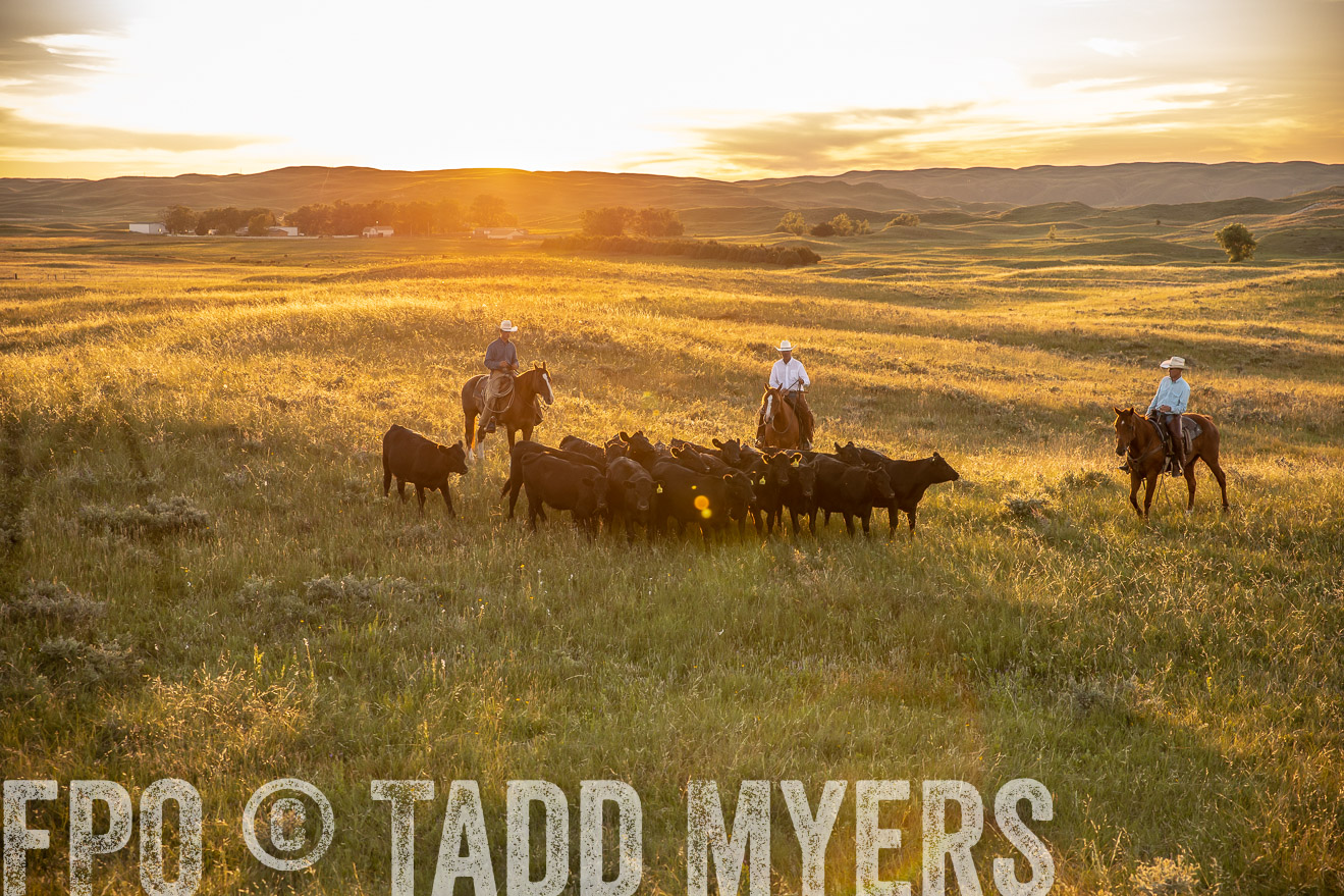 PP_TuckerRanch_NE_July2019-42501
