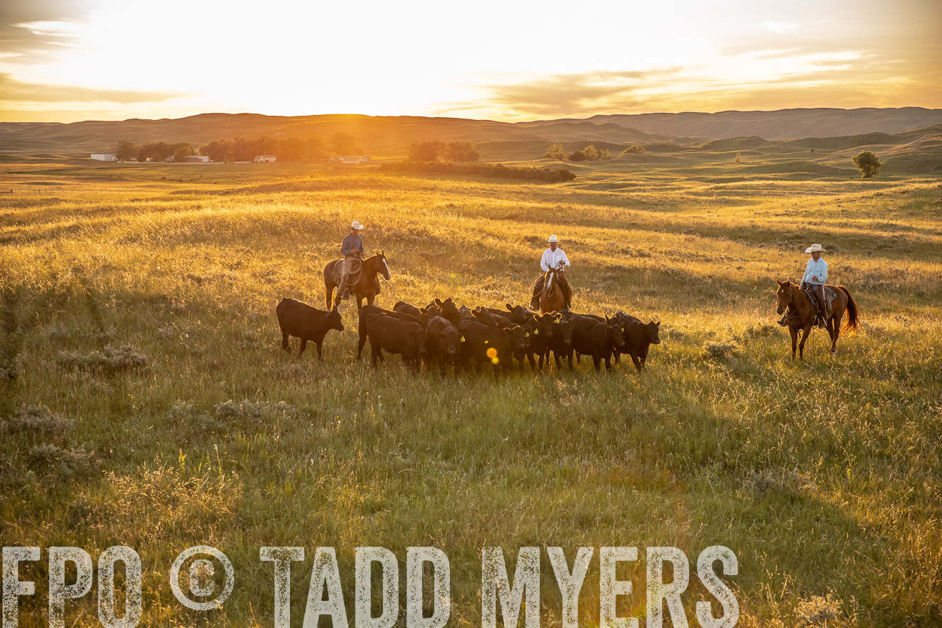 PP_TuckerRanch_NE_July2019-42502