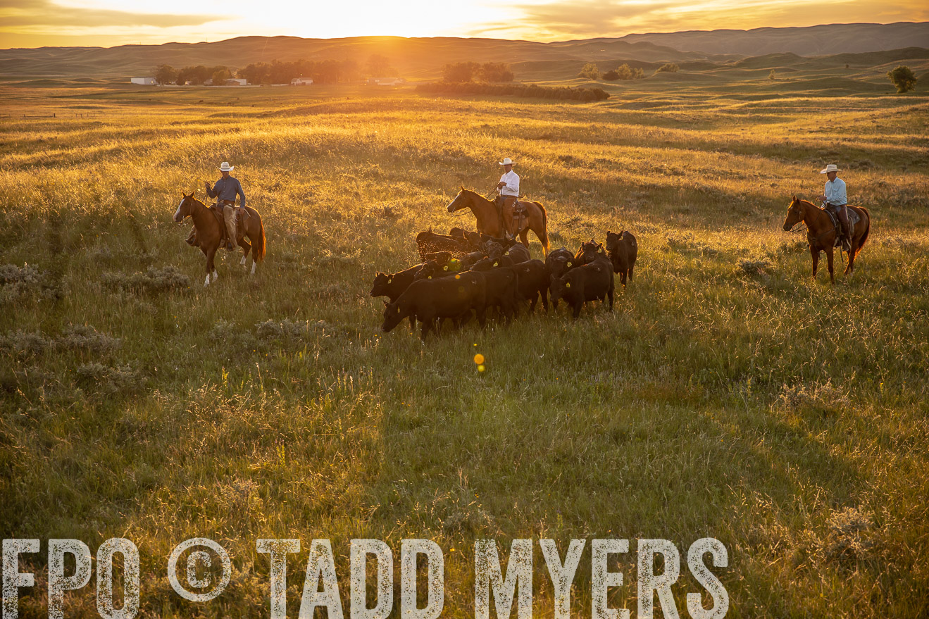 PP_TuckerRanch_NE_July2019-42505