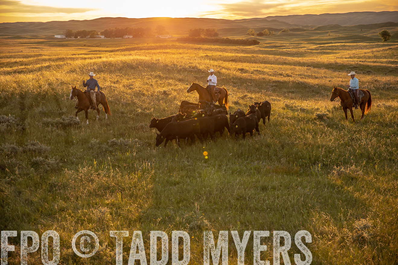 PP_TuckerRanch_NE_July2019-42506
