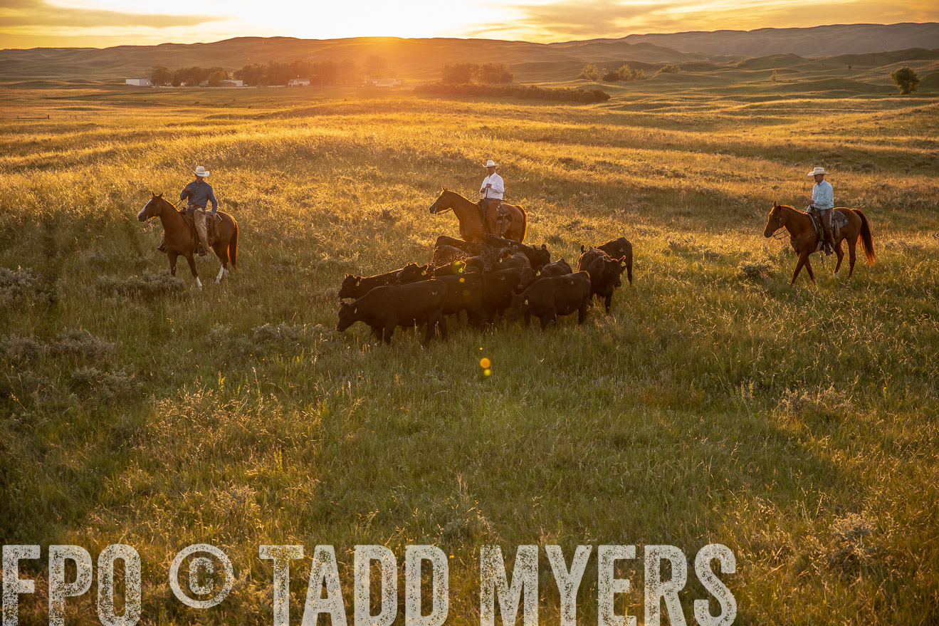PP_TuckerRanch_NE_July2019-42507