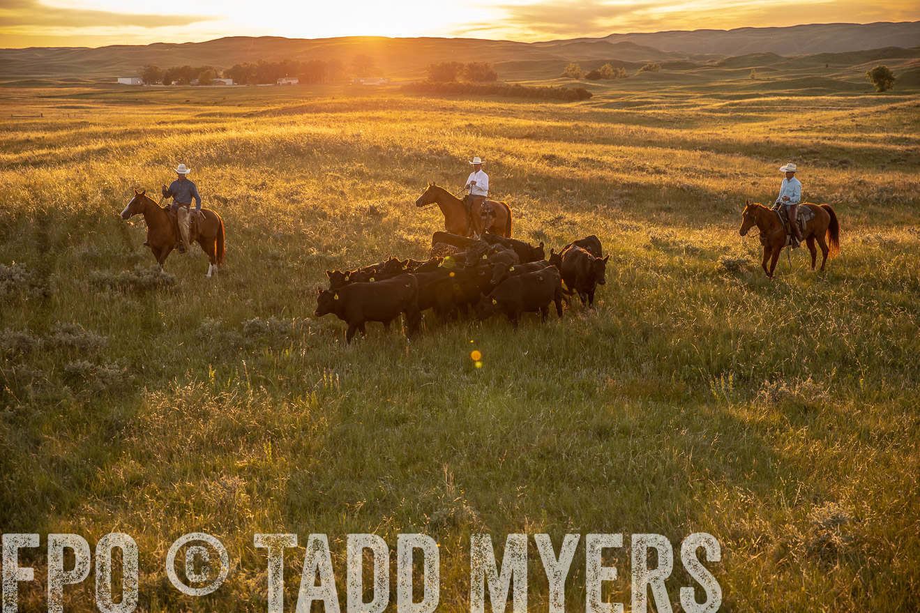 PP_TuckerRanch_NE_July2019-42508