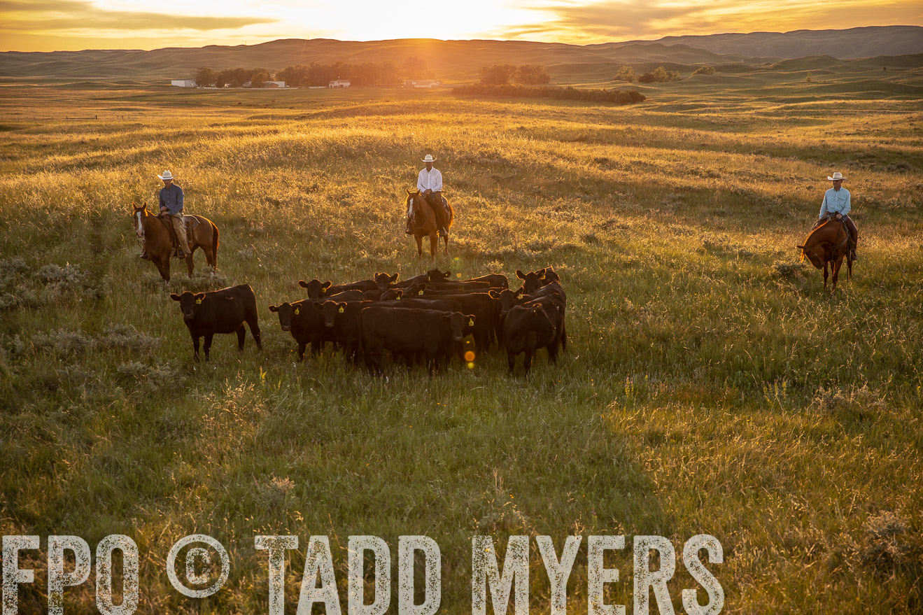 PP_TuckerRanch_NE_July2019-42512