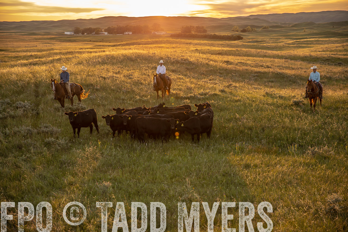 PP_TuckerRanch_NE_July2019-42516
