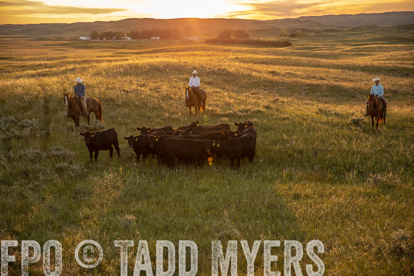 PP_TuckerRanch_NE_July2019-42517