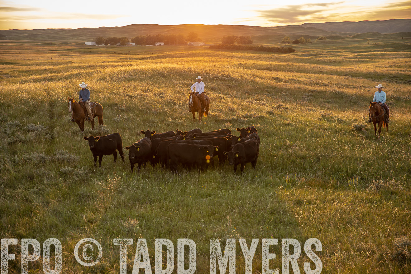 PP_TuckerRanch_NE_July2019-42520