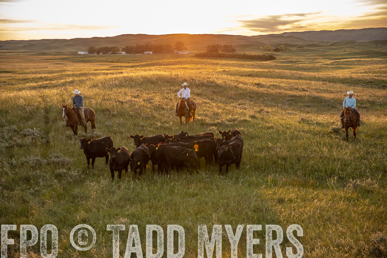 PP_TuckerRanch_NE_July2019-42522