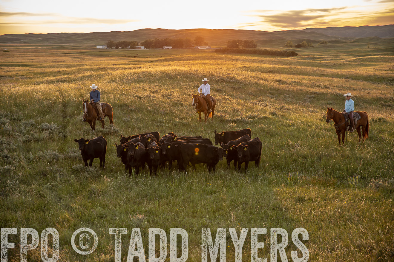 PP_TuckerRanch_NE_July2019-42525