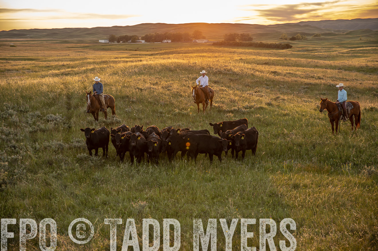 PP_TuckerRanch_NE_July2019-42527