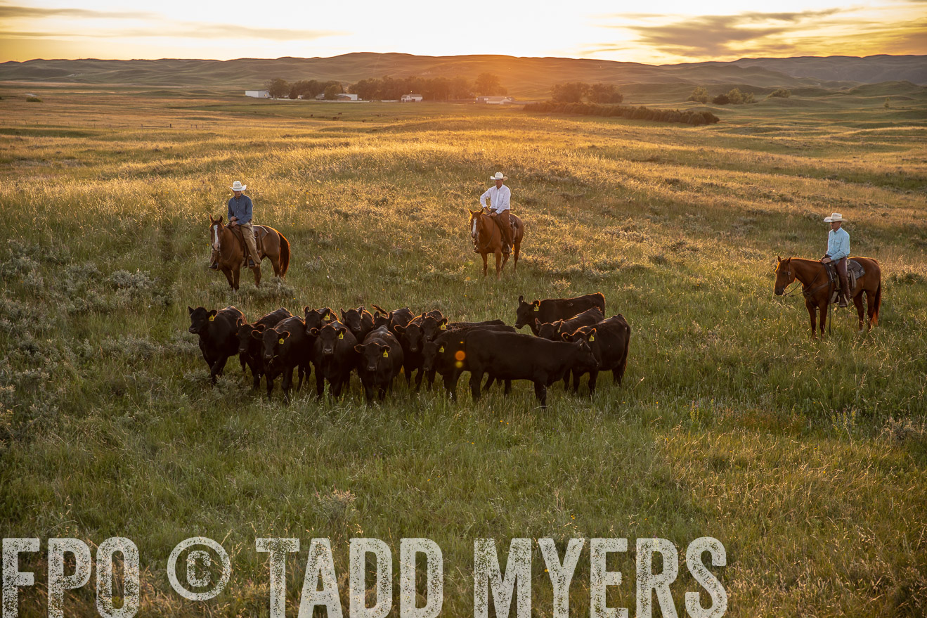PP_TuckerRanch_NE_July2019-42528