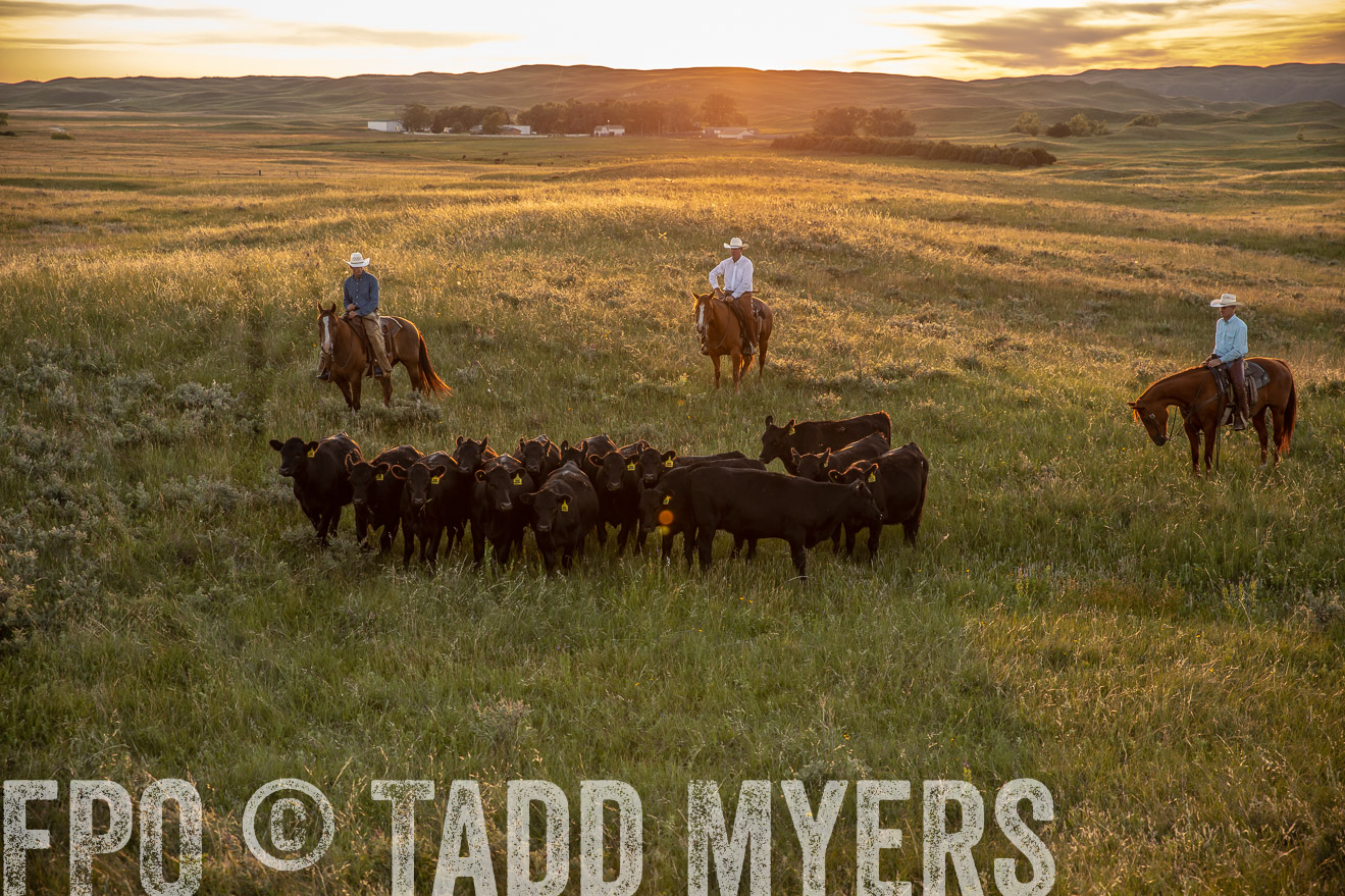 PP_TuckerRanch_NE_July2019-42529