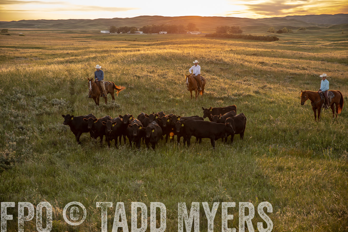 PP_TuckerRanch_NE_July2019-42530