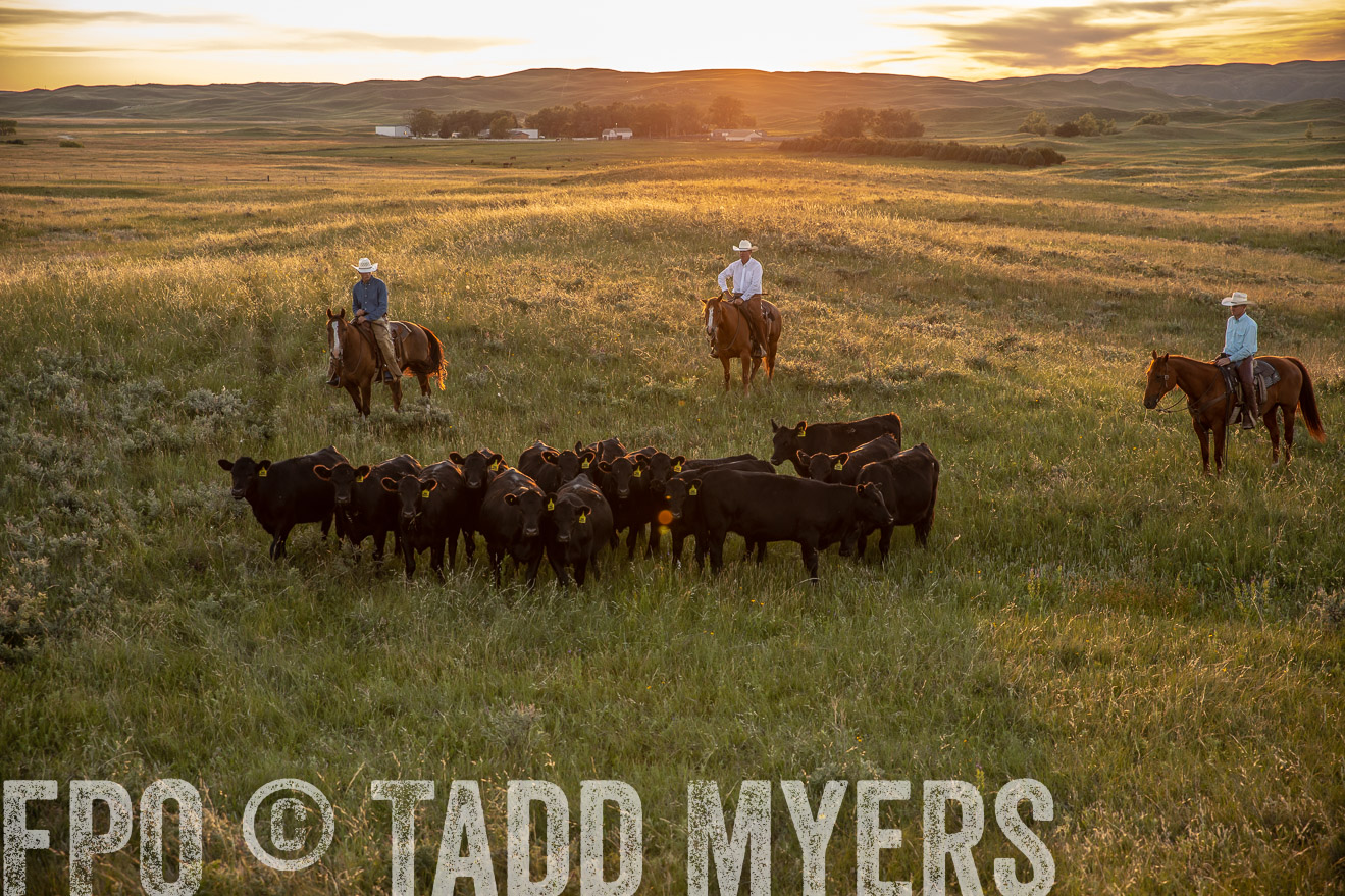 PP_TuckerRanch_NE_July2019-42531
