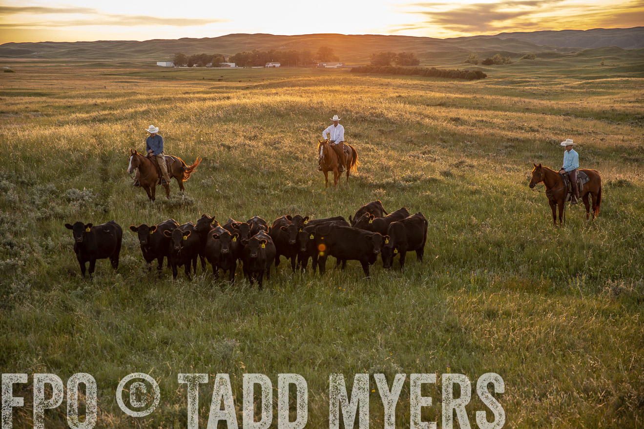 PP_TuckerRanch_NE_July2019-42533