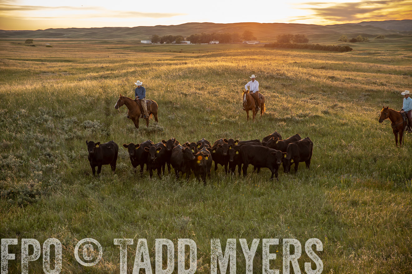 PP_TuckerRanch_NE_July2019-42534