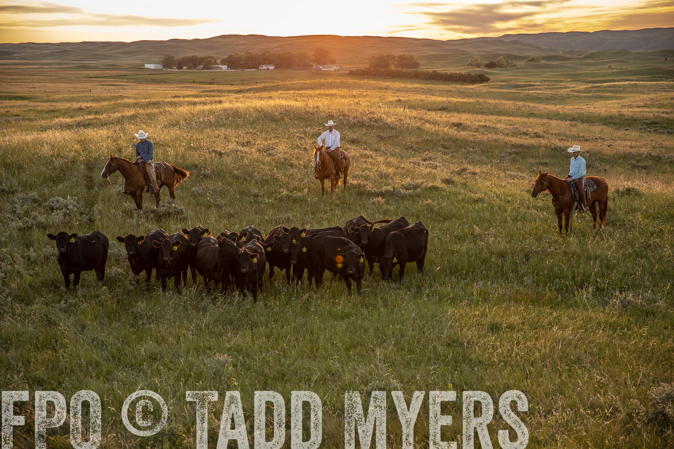 PP_TuckerRanch_NE_July2019-42535