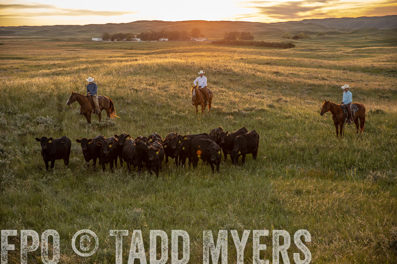 PP_TuckerRanch_NE_July2019-42536