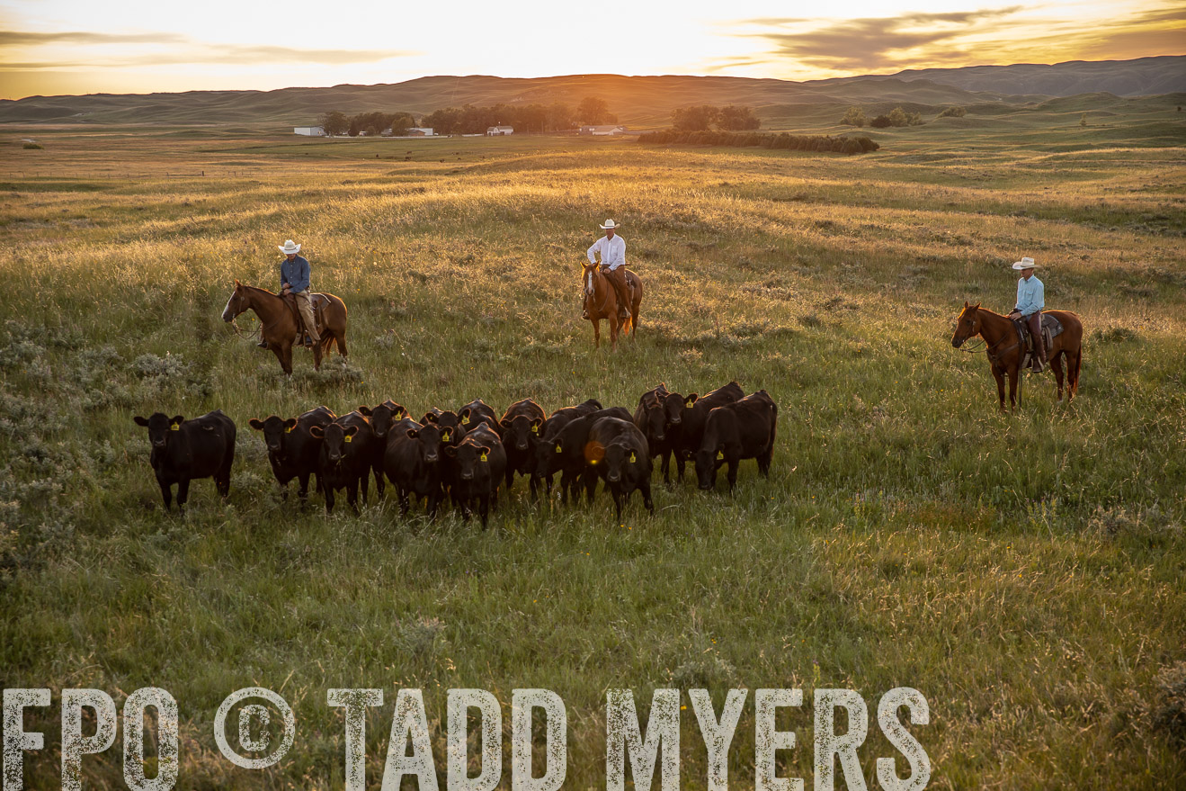 PP_TuckerRanch_NE_July2019-42538