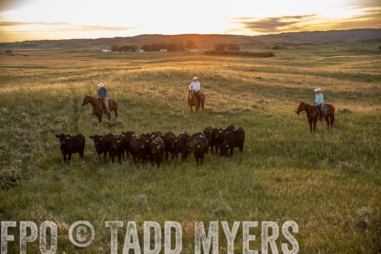PP_TuckerRanch_NE_July2019-42539