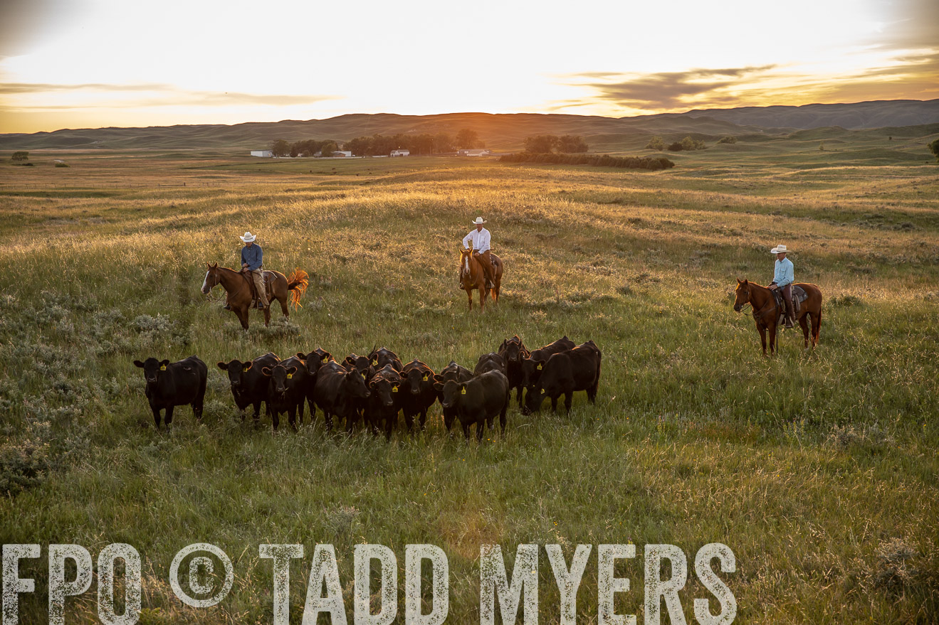 PP_TuckerRanch_NE_July2019-42541