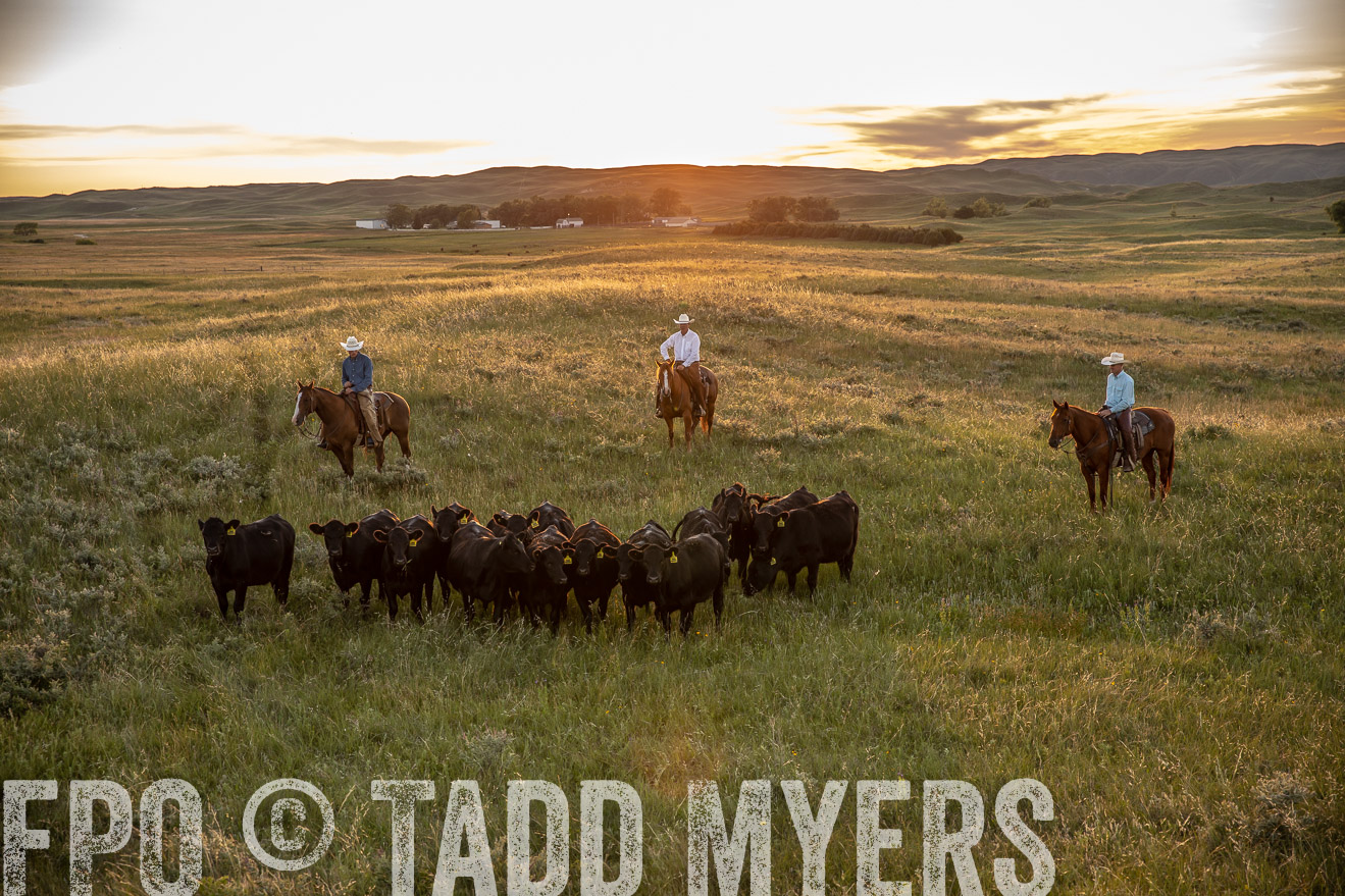 PP_TuckerRanch_NE_July2019-42542