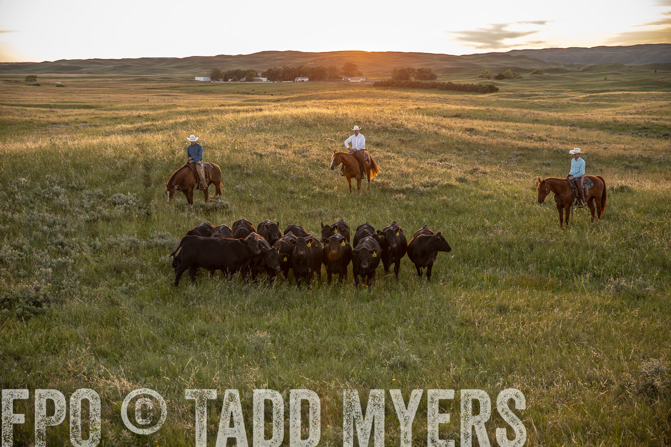 PP_TuckerRanch_NE_July2019-42543