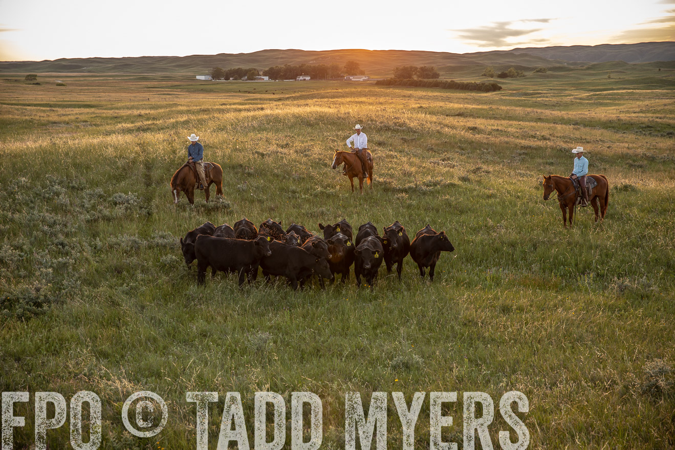 PP_TuckerRanch_NE_July2019-42544