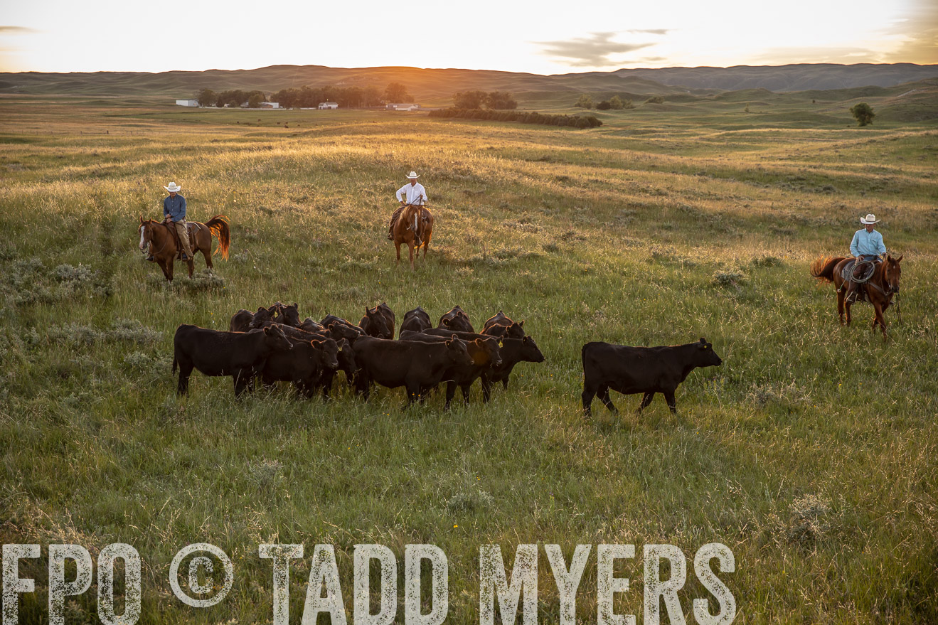 PP_TuckerRanch_NE_July2019-42545
