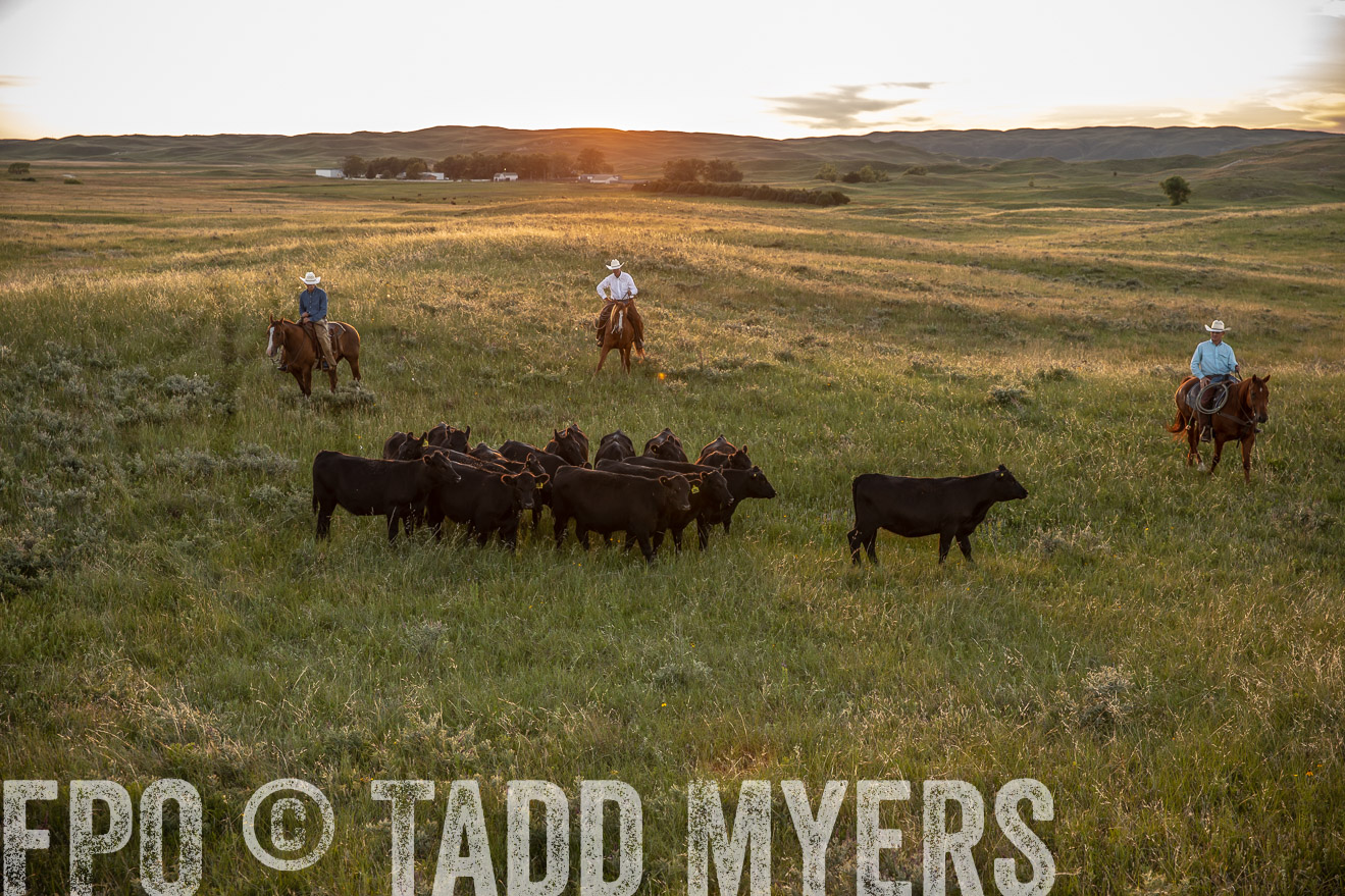 PP_TuckerRanch_NE_July2019-42546