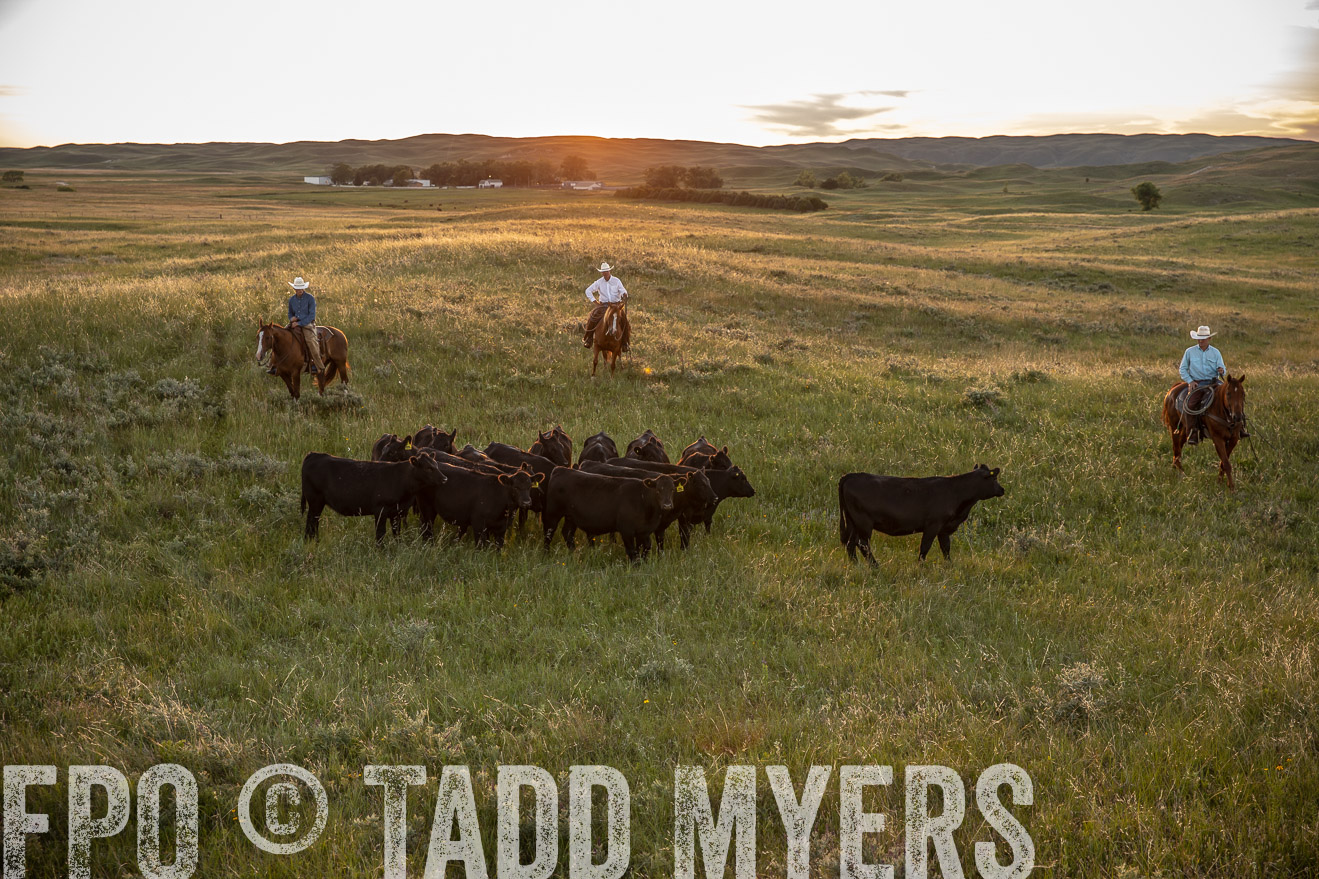PP_TuckerRanch_NE_July2019-42547