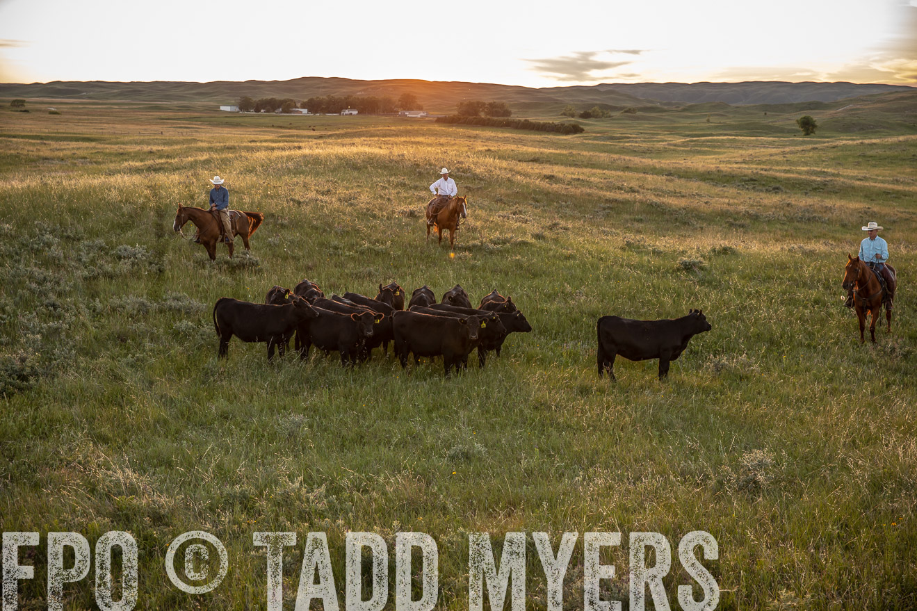 PP_TuckerRanch_NE_July2019-42548
