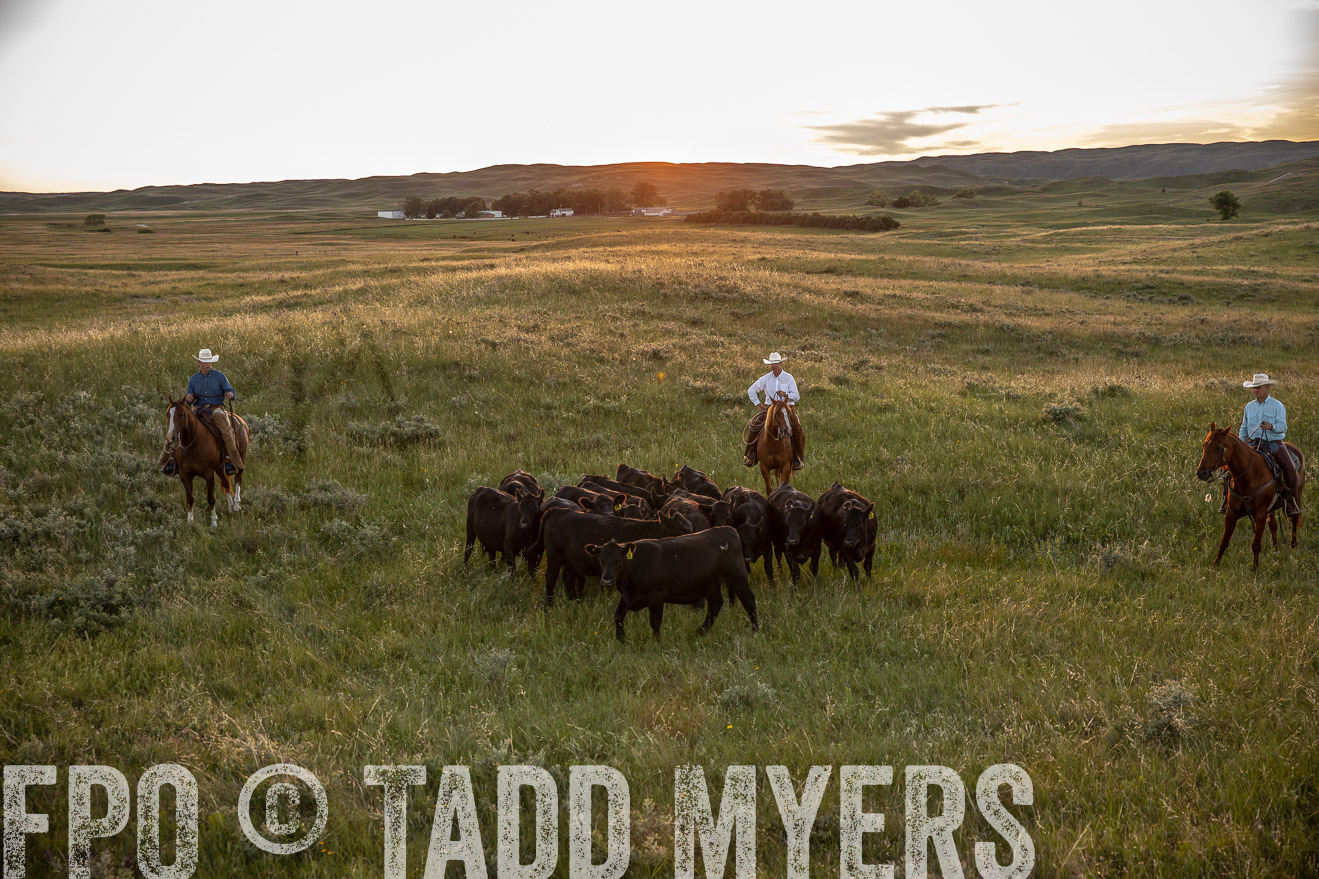 PP_TuckerRanch_NE_July2019-42556