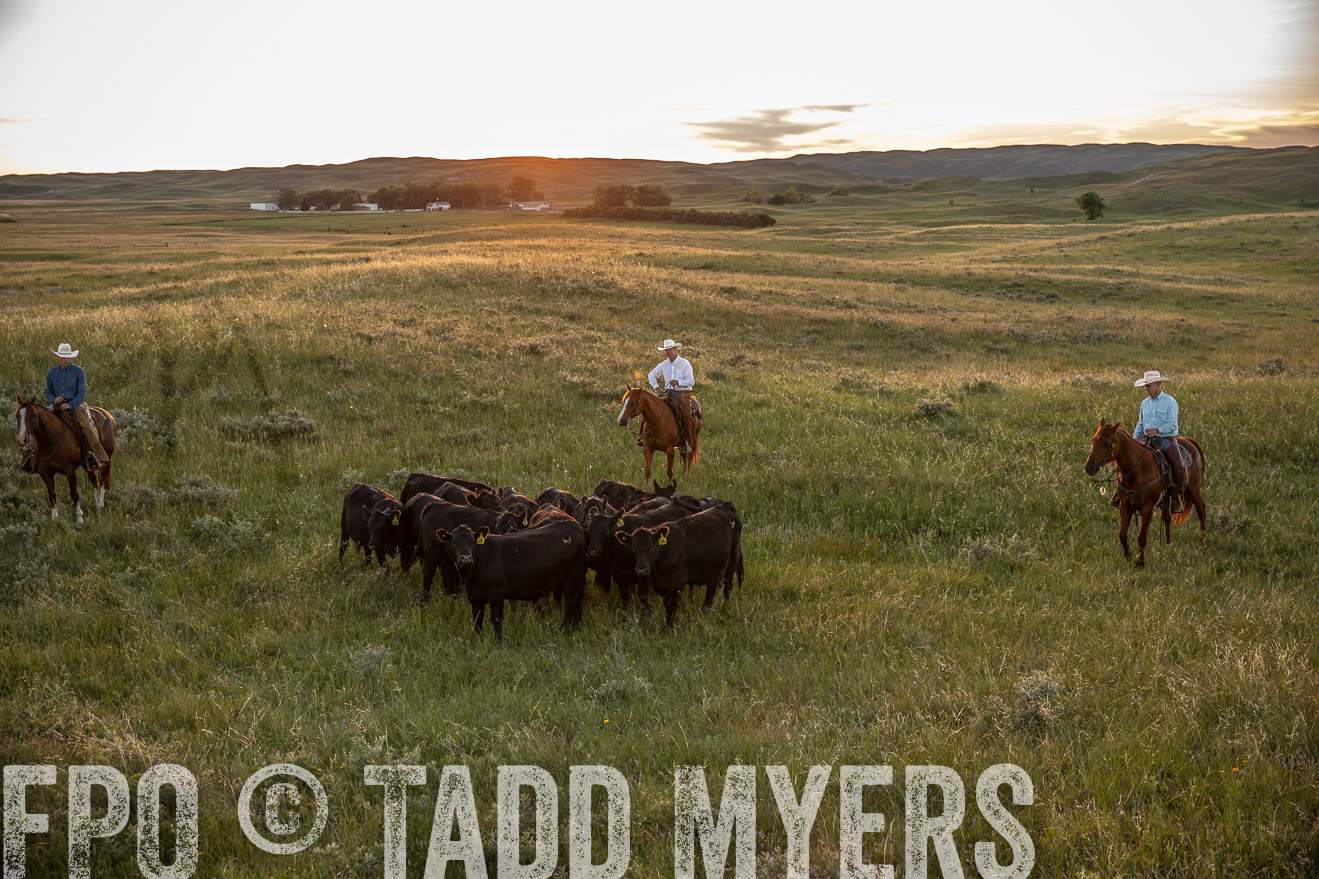 PP_TuckerRanch_NE_July2019-42559