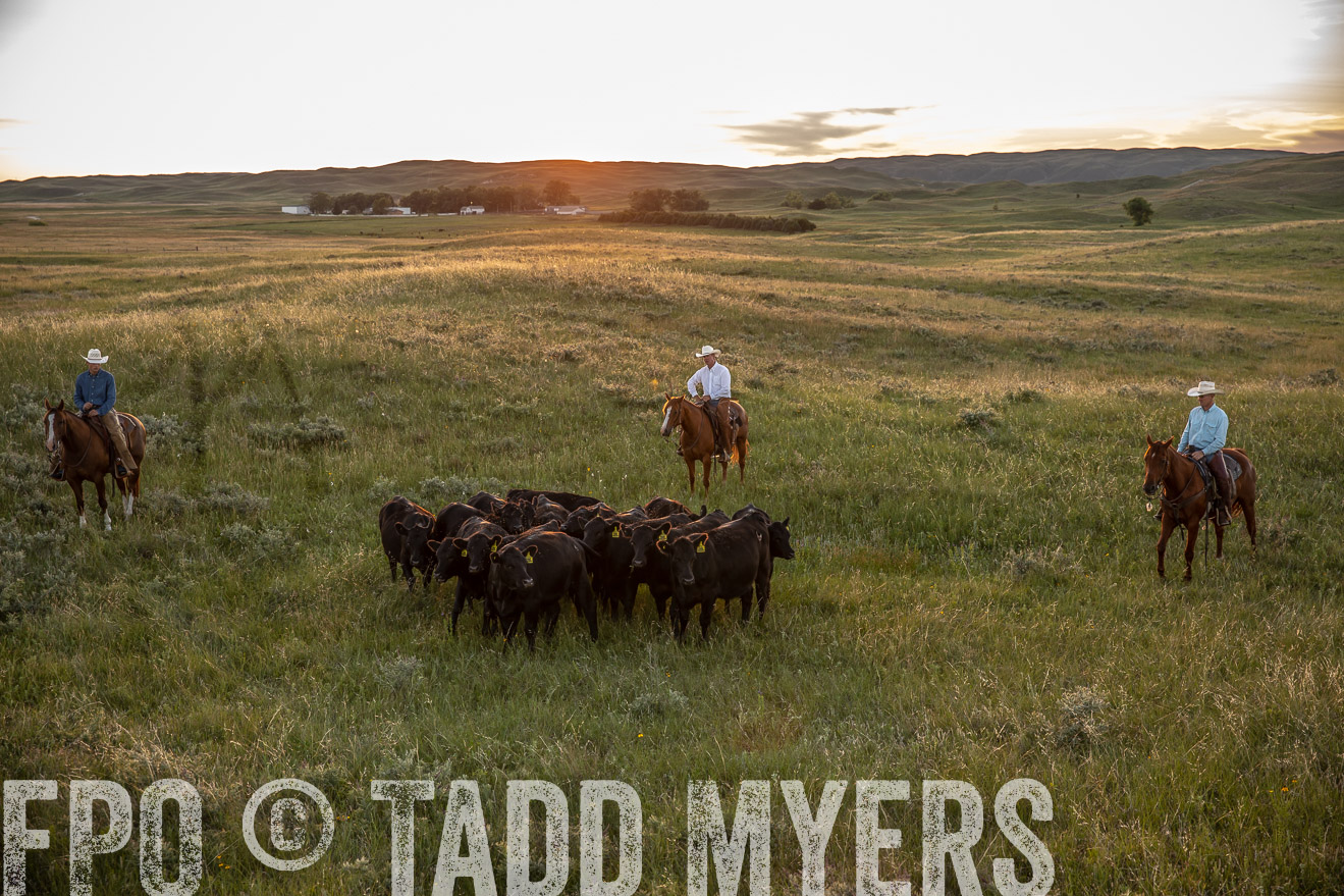 PP_TuckerRanch_NE_July2019-42561