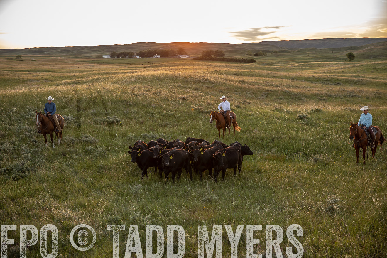 PP_TuckerRanch_NE_July2019-42562