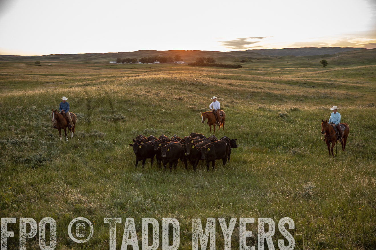 PP_TuckerRanch_NE_July2019-42563