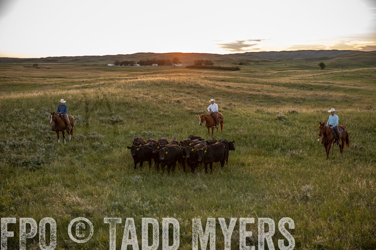 PP_TuckerRanch_NE_July2019-42564
