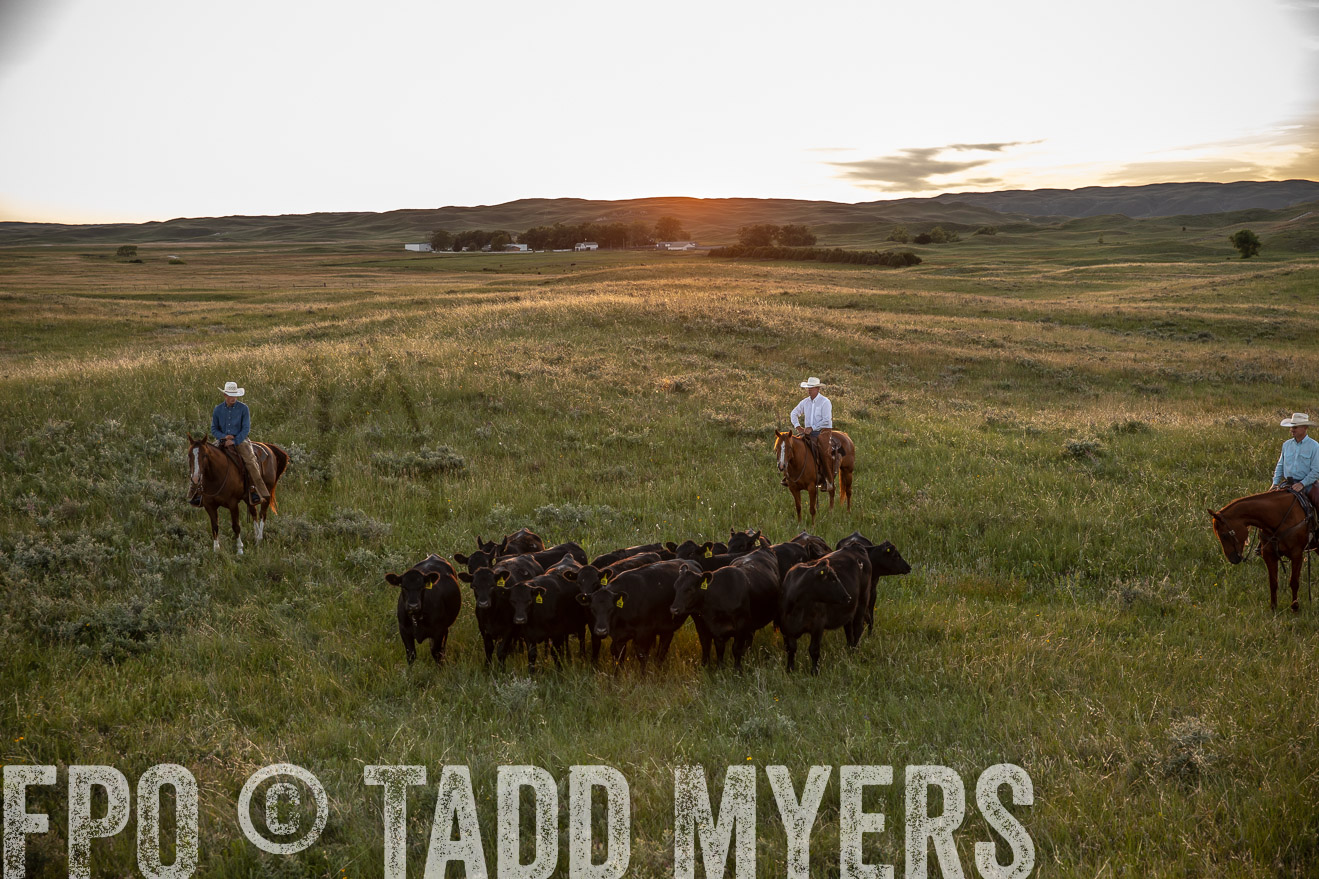 PP_TuckerRanch_NE_July2019-42567