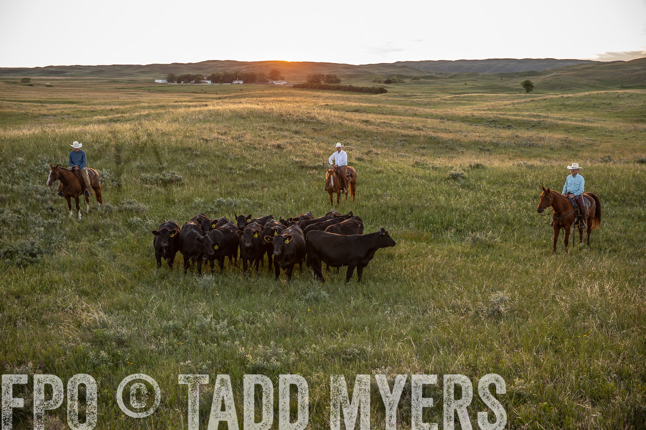 PP_TuckerRanch_NE_July2019-42574
