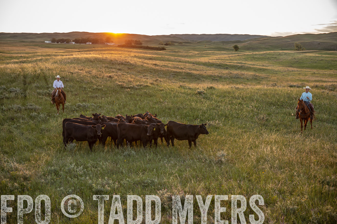 PP_TuckerRanch_NE_July2019-42580