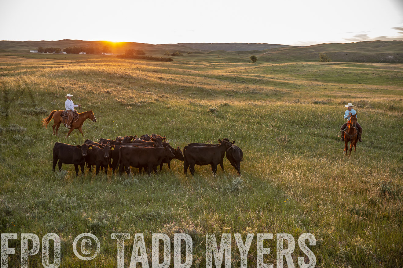 PP_TuckerRanch_NE_July2019-42584