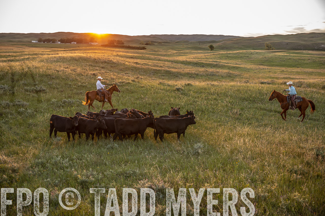 PP_TuckerRanch_NE_July2019-42585
