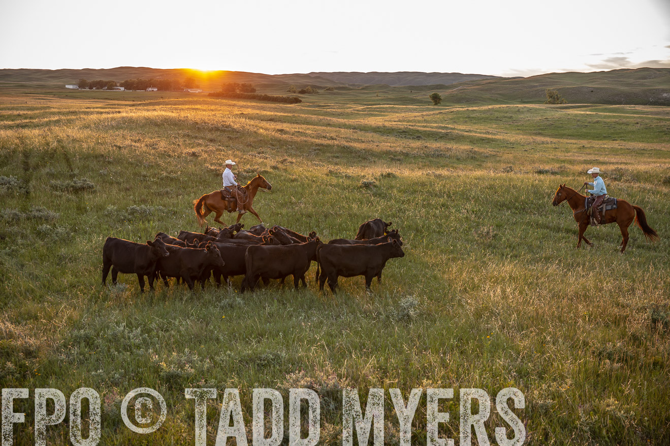 PP_TuckerRanch_NE_July2019-42586