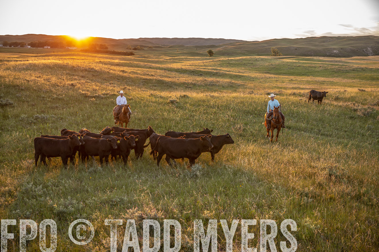 PP_TuckerRanch_NE_July2019-42589
