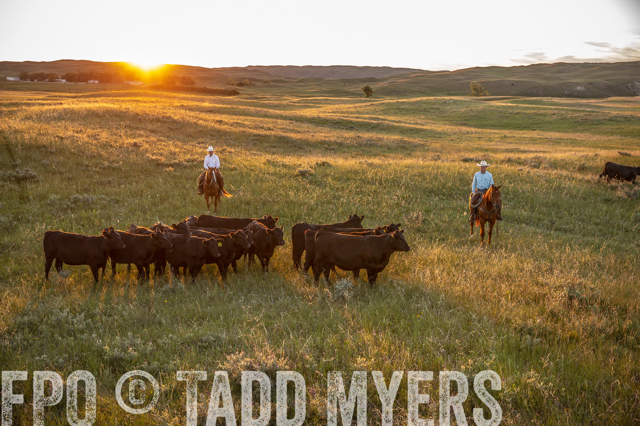 PP_TuckerRanch_NE_July2019-42591