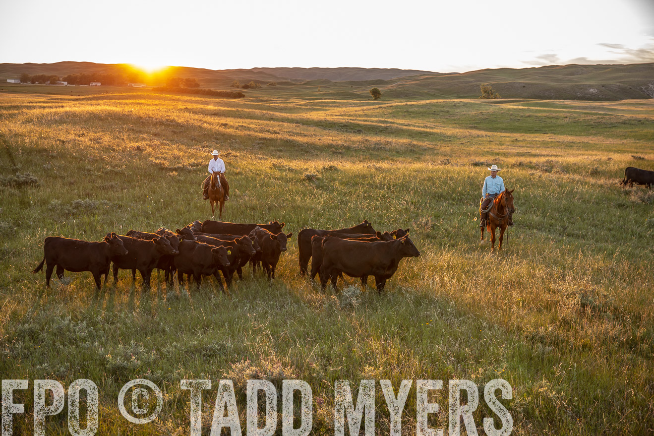 PP_TuckerRanch_NE_July2019-42592