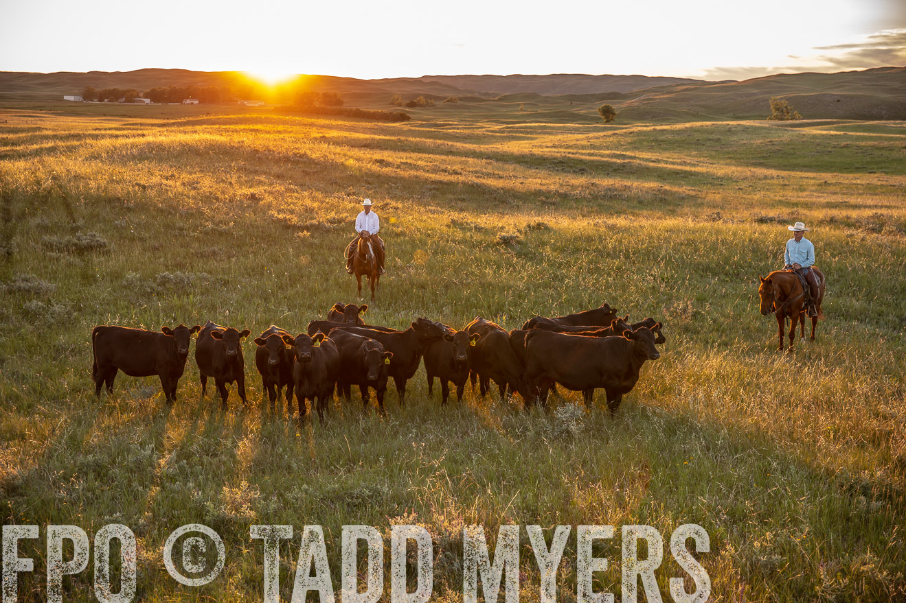 PP_TuckerRanch_NE_July2019-42601