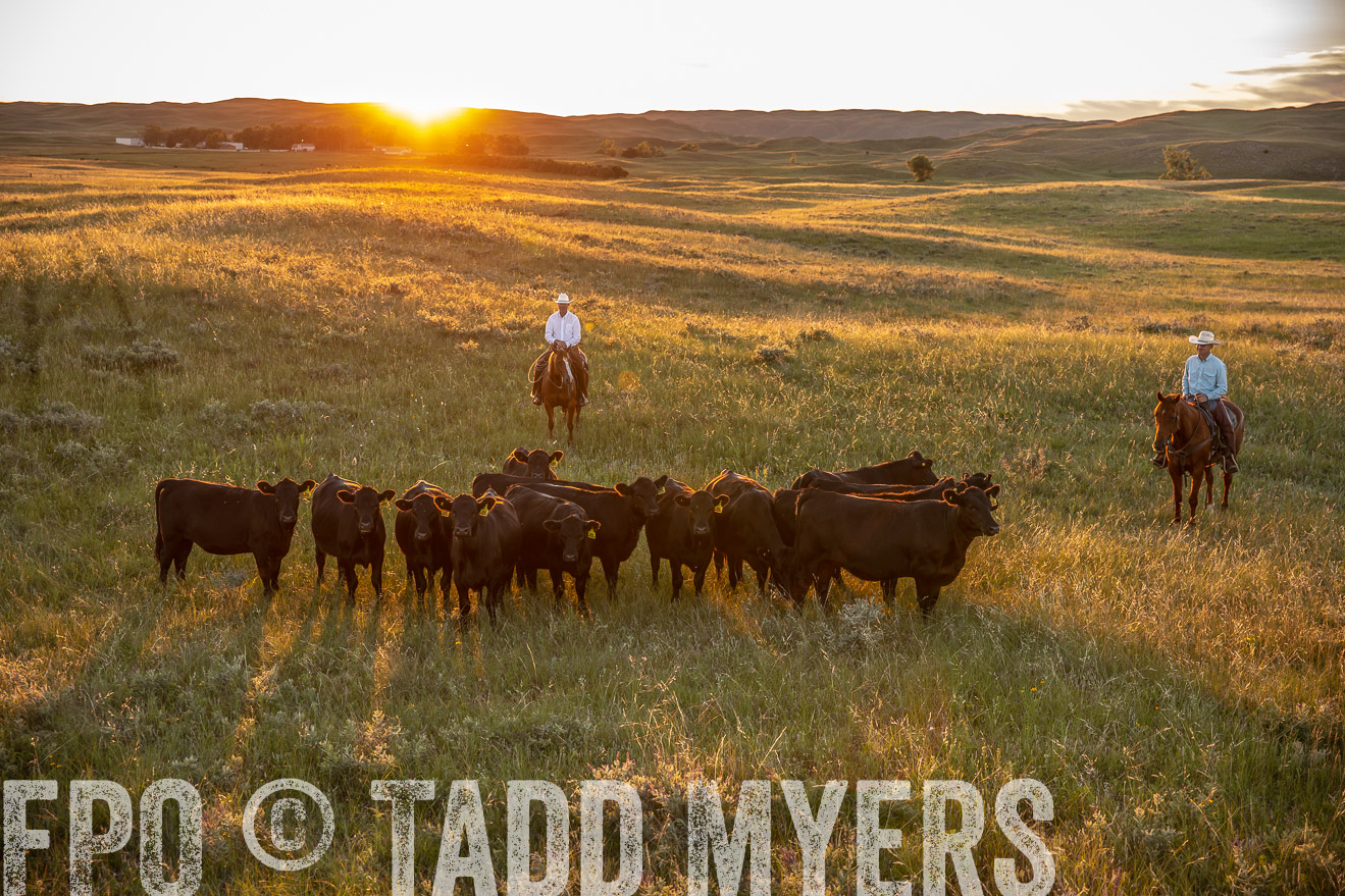 PP_TuckerRanch_NE_July2019-42602